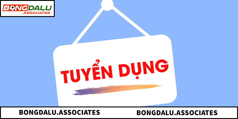 Các vị trí đang cần tuyển dụng tại Bongdalu