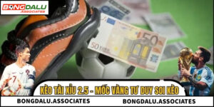 Cách Đọc Kèo Tài Xỉu 2.5 Và Mẹo Soi Kèo Chuẩn Xác