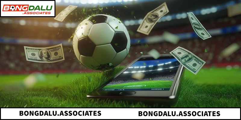 Dữ liệu cập nhật tức thì, chính xác và giao diện tối ưu