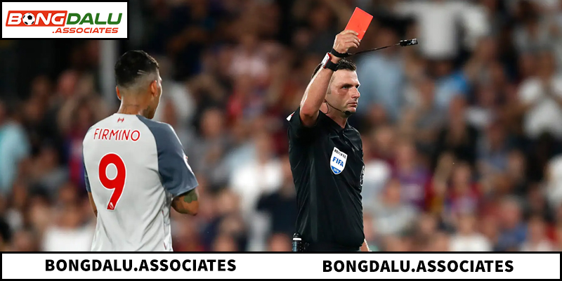 Lý do nên theo dõi dữ liệu thẻ phạt tại BONGDALU