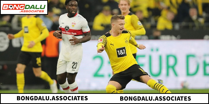 Nhận định tổng số bàn thắng dựa trên hiệu suất hàng công