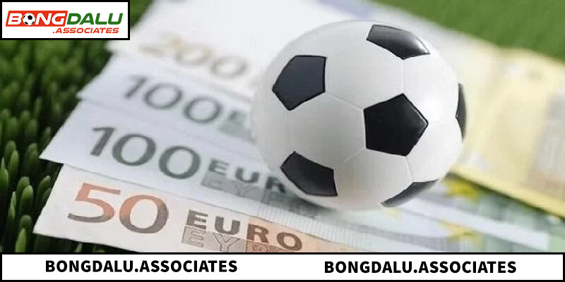 Phân tích tầm quan trọng của dữ liệu thống kê tại BONGDALU